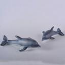 Dolphin and Calf