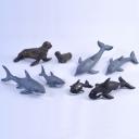 Marine Animal family sets